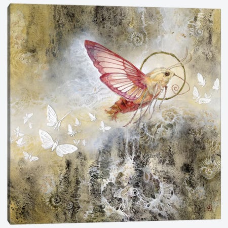 Moth Canvas Print #SLW110} by Stephanie Law Canvas Art Print
