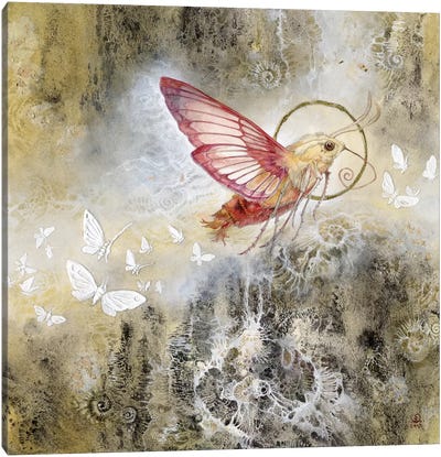 Moth Canvas Art Print - Stephanie Law