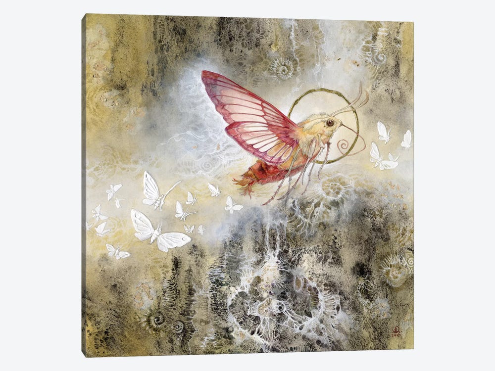Moth by Stephanie Law 1-piece Canvas Print