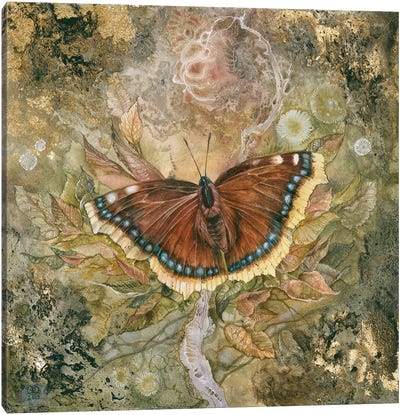 Mourning Cloak Canvas Art Print - Insect & Bug Art