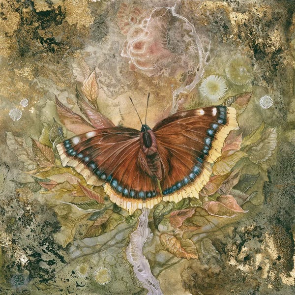 Intricate Watercolors: Mourning Cloak by Stephanie Law