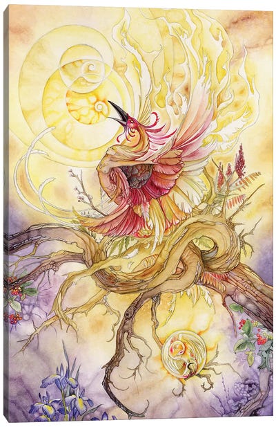 Phoenix II Canvas Art Print - Stephanie Law