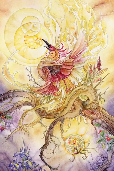 Kids Fantasy Art: Phoenix II by Stephanie Law