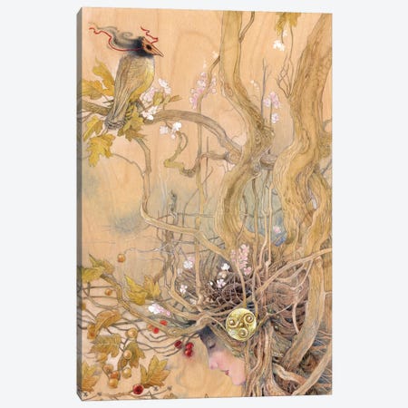 Rootbound Canvas Print #SLW132} by Stephanie Law Canvas Print