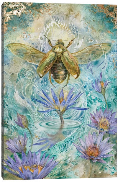 Scarab I Canvas Art Print - Beetle Art