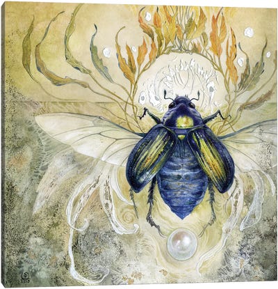 Scarab II Canvas Art Print - Beetles
