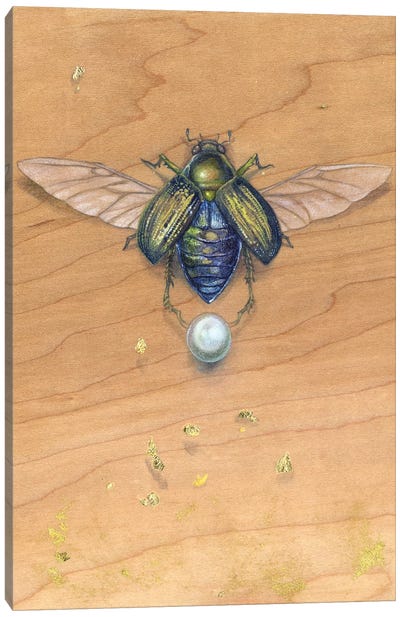 Scarab III Canvas Art Print - Beetle Art