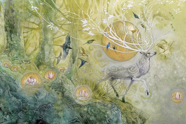 Deer: Allegro by Stephanie Law