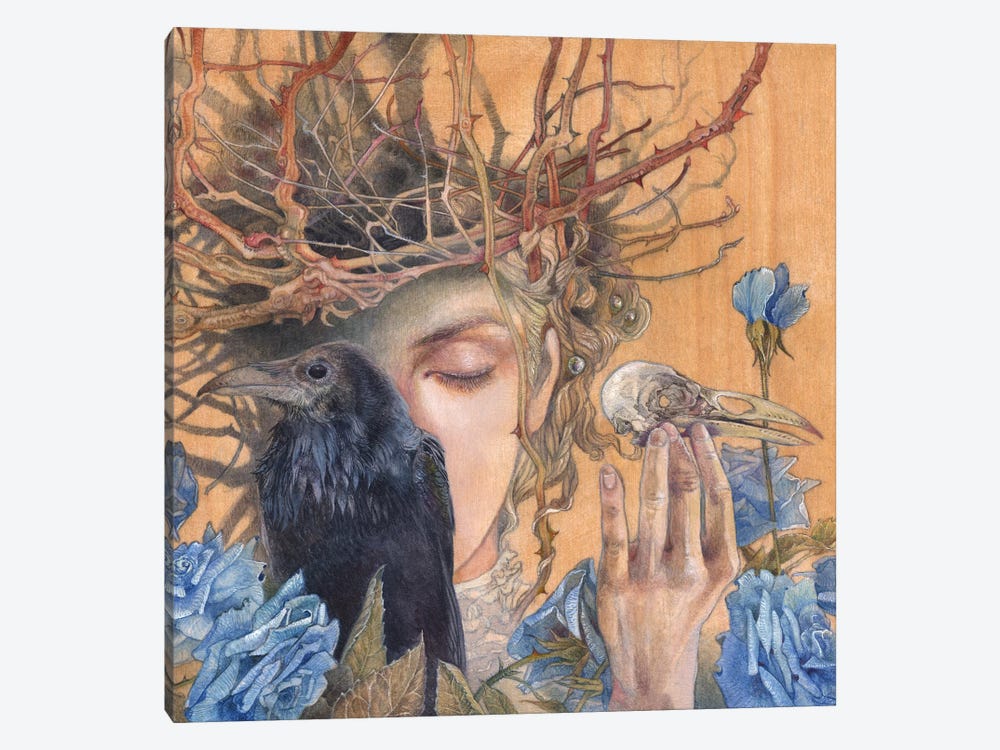 Thought And Memory by Stephanie Law 1-piece Canvas Print