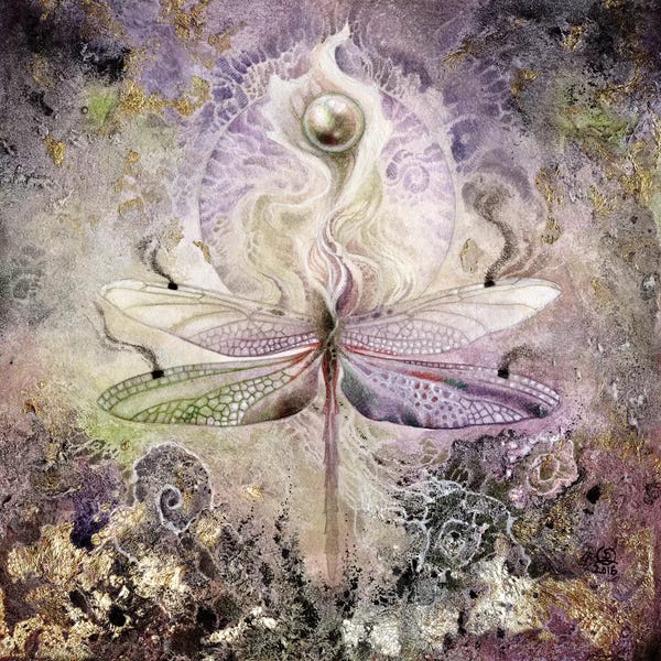 Dragonflies: Transformation by Stephanie Law