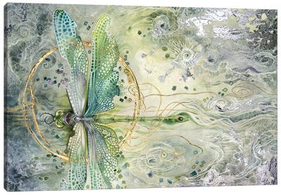 Transition Canvas Art Print - Dragonfly Art