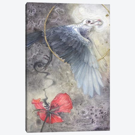 Value Of A Pearl Canvas Print #SLW166} by Stephanie Law Canvas Print