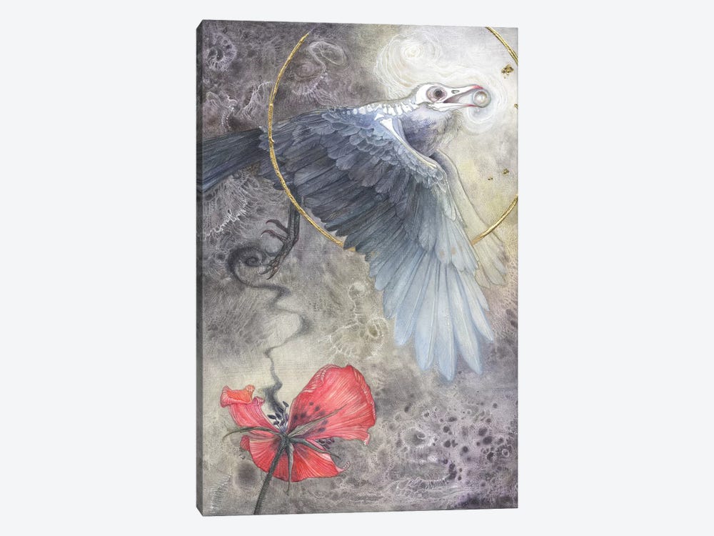 Value Of A Pearl by Stephanie Law 1-piece Canvas Artwork
