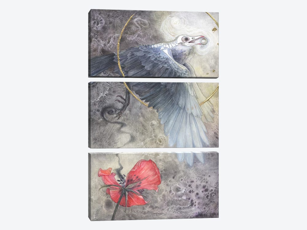 Value Of A Pearl by Stephanie Law 3-piece Canvas Artwork