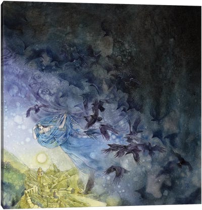 Veil Of Night Canvas Art Print - Crow Art