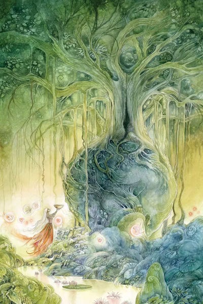 The Secret Lives Of Fairies: Banyan by Stephanie Law