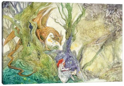 Whatcha Reading Canvas Art Print - The Secret Lives of Fairies