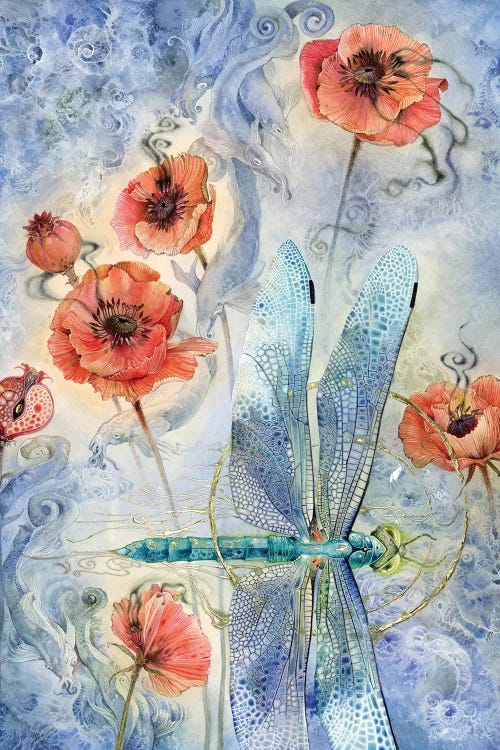 When Flowers Dream - Dragonfly