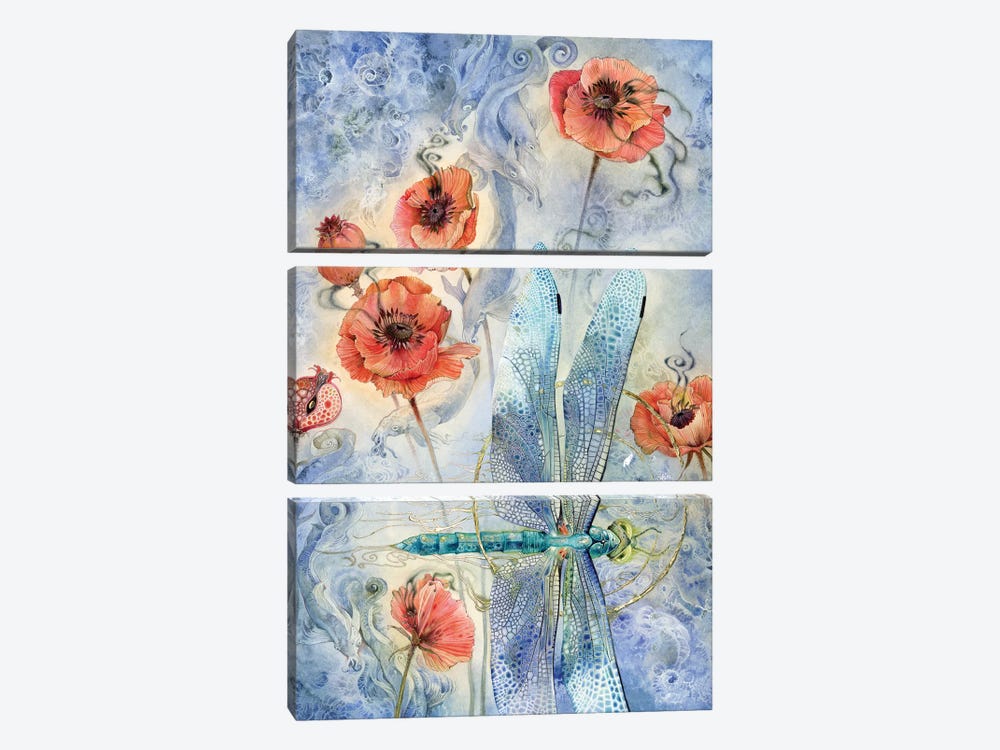 When Flowers Dream - Dragonfly by Stephanie Law 3-piece Art Print