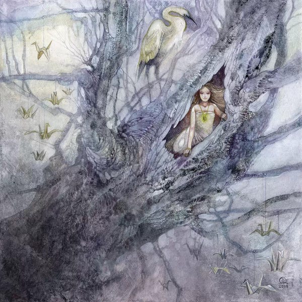 Wild Spirit: Where Wishes Go To Roost by Stephanie Law