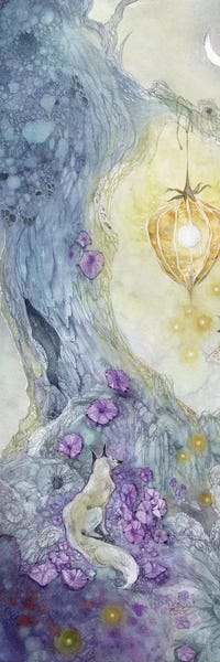 Foxes: White Fox by Stephanie Law