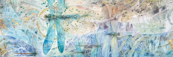 Dragonflies: Against The Flow by Stephanie Law