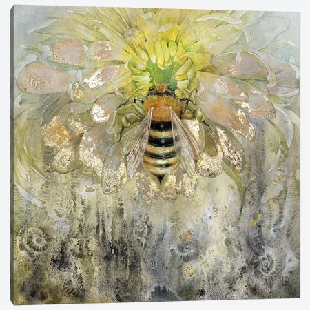 Bee Canvas Print #SLW18} by Stephanie Law Art Print