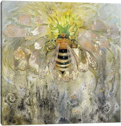 Bee Canvas Art Print - Insect & Bug Art