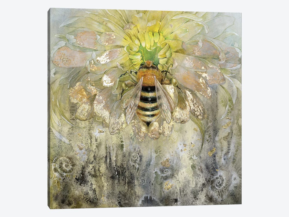 Bee by Stephanie Law 1-piece Canvas Wall Art