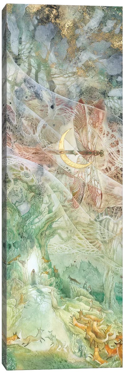 Convergence III Canvas Art Print - Dragonfly Art