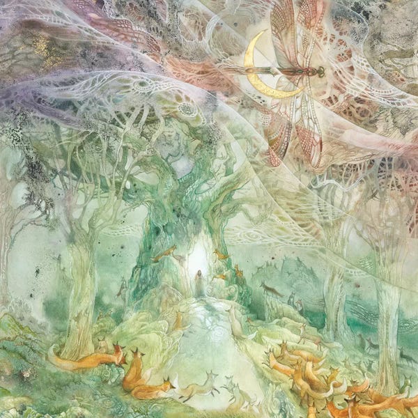 Butterflies: Convergence II by Stephanie Law