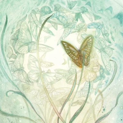 Butterfly II by Stephanie Law canvas print