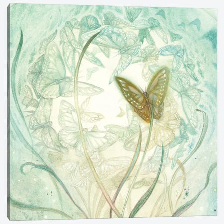 Butterfly II Canvas Print #SLW199} by Stephanie Law Canvas Art Print