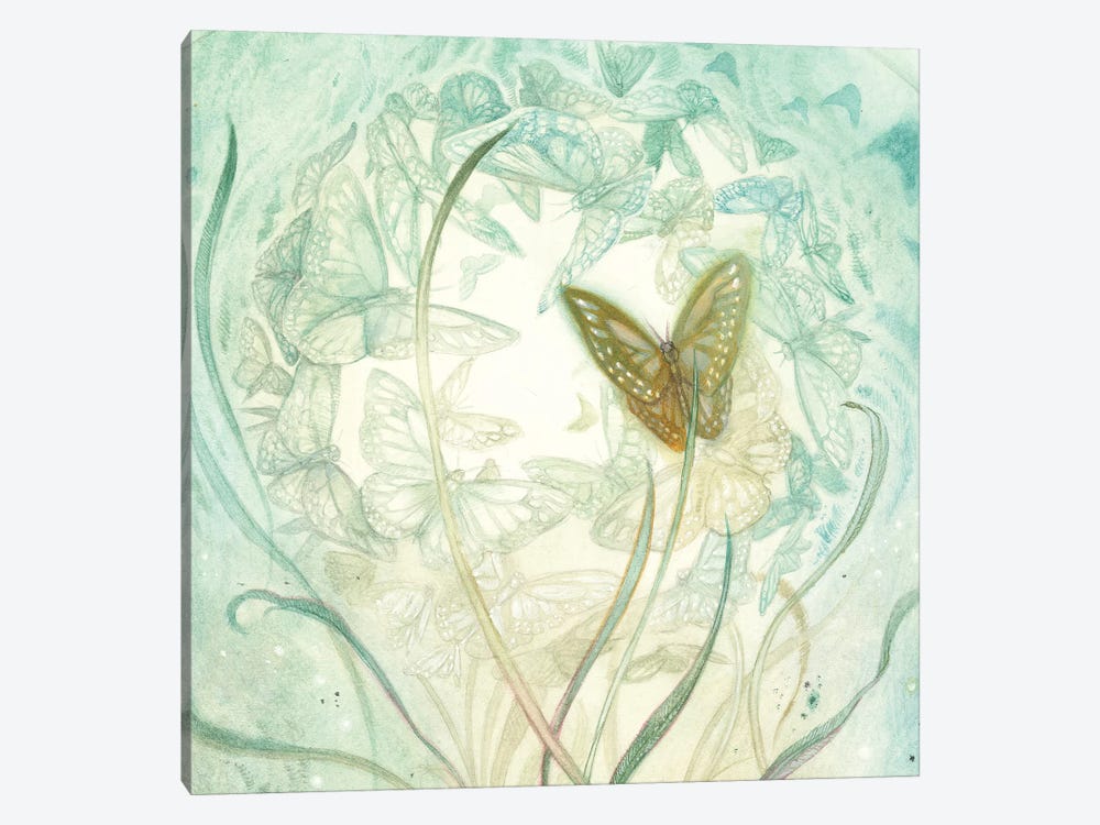 Butterfly II by Stephanie Law 1-piece Canvas Artwork