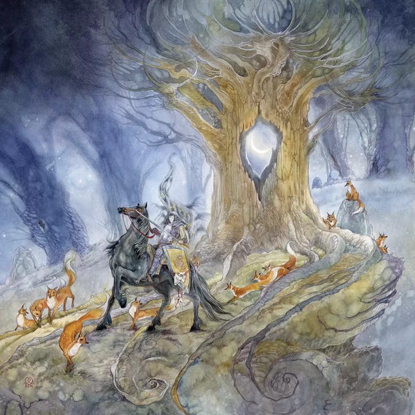 Foxes: Black Knight by Stephanie Law