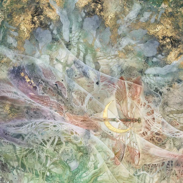 Dragonflies: Convergence IV by Stephanie Law