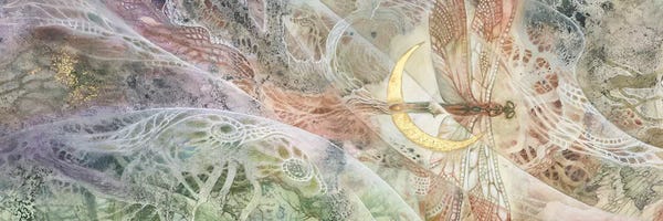 Dragonflies: Convergence VI by Stephanie Law