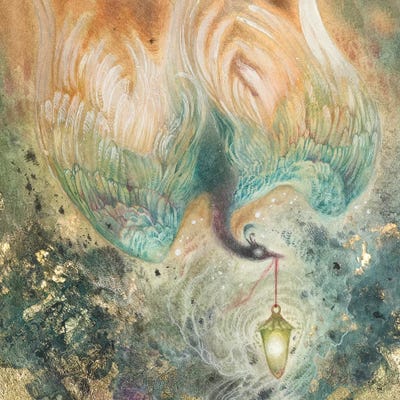 Ember Thief by Stephanie Law canvas print