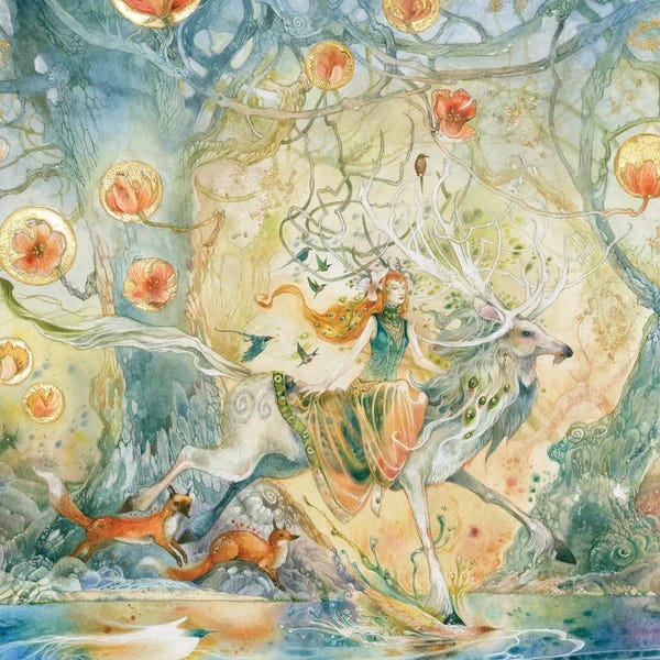 The Secret Lives Of Fairies: Moving Through The Spaces Between by Stephanie Law