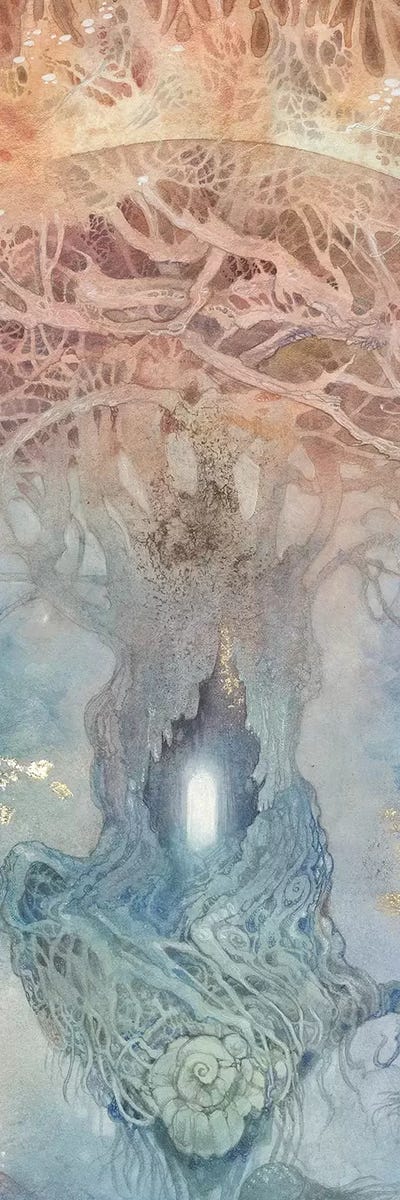 Nautilus V by Stephanie Law canvas print