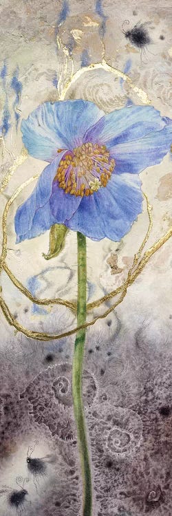 Blue Poppy