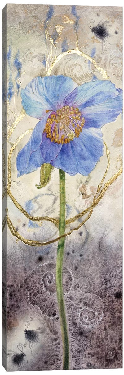 Blue Poppy Canvas Art Print - Poppy Art