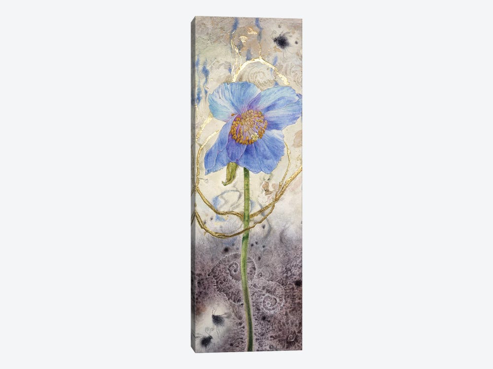Blue Poppy by Stephanie Law 1-piece Canvas Wall Art