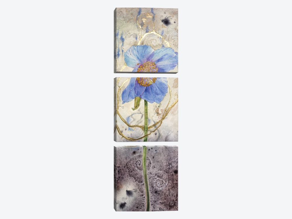 Blue Poppy by Stephanie Law 3-piece Canvas Art