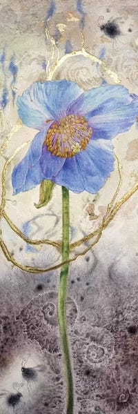 Dreamy Watercolor Artists: Blue Poppy by Stephanie Law