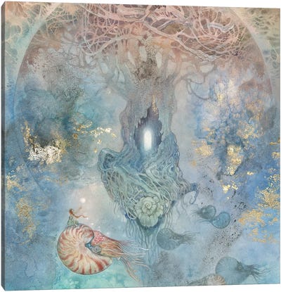 Nautilus I Canvas Art Print - Stephanie Law