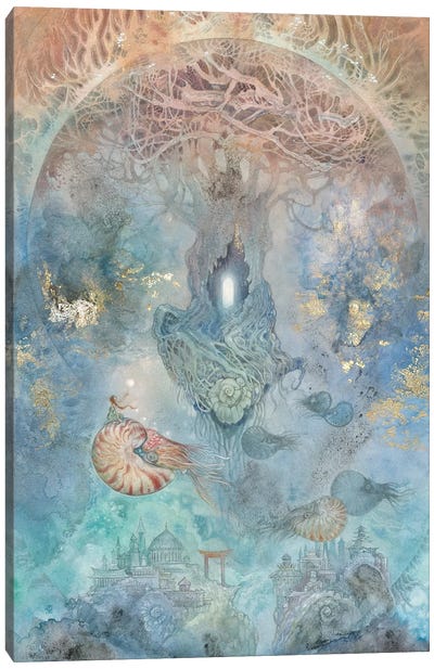 Nautilus II Canvas Art Print - Stephanie Law