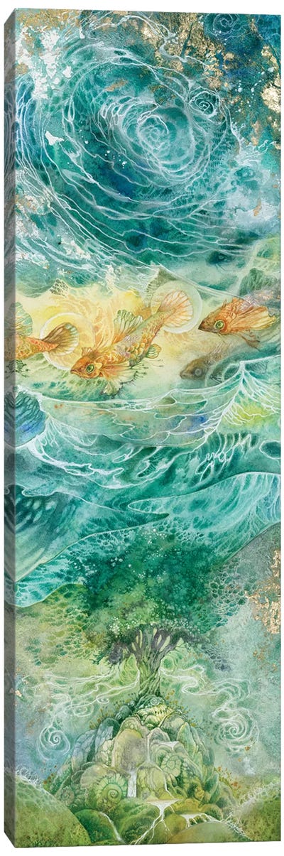 Inversions I Canvas Art Print - Fish Art