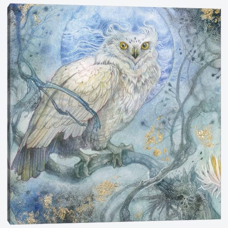 Night Wings I Canvas Print #SLW225} by Stephanie Law Canvas Artwork