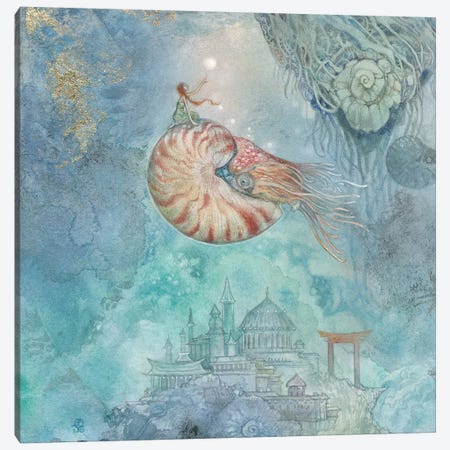 Nautilus VI Canvas Print #SLW226} by Stephanie Law Canvas Art